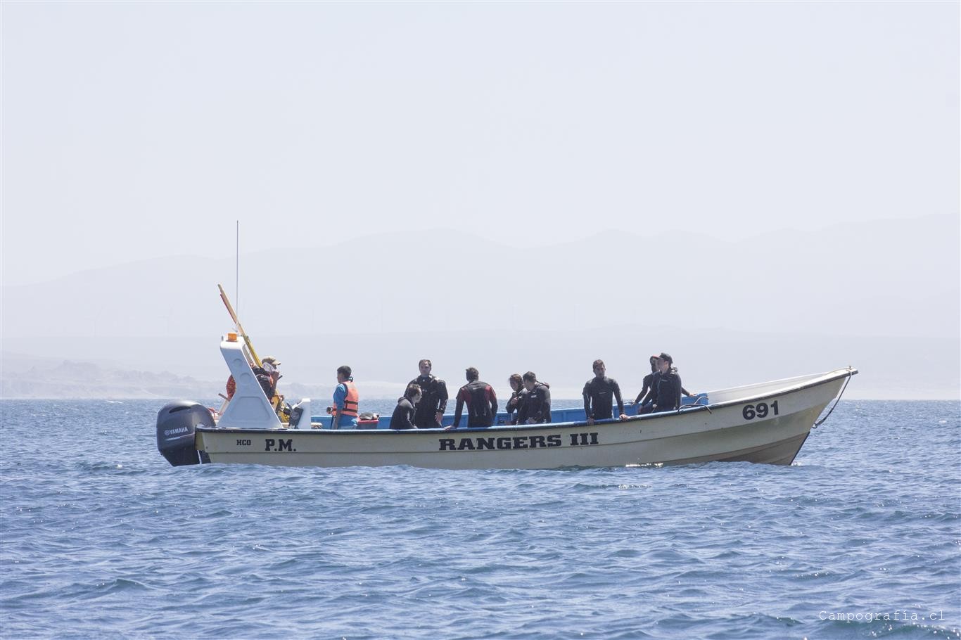 Chañaral de Aceituno